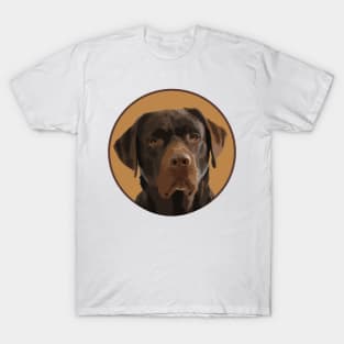 Chocolate Labrador Retriever! Especially for Lab owners! T-Shirt